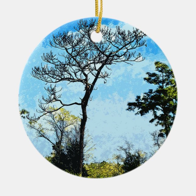 Trees At The Julington-Durbin Preserve Florida Ceramic Ornament (Front)