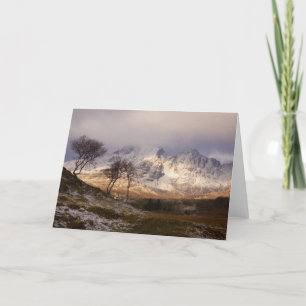 Trees at Torrin Holiday Card