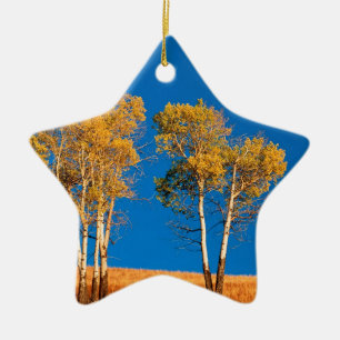 Trees Autumn Aspen Yellowstone Wyoming Ceramic Ornament