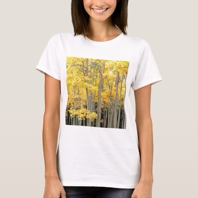 Trees Autumn Aspens Kenosha Pass Colorado T-Shirt (Front)