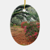 Trees Azaleas Oaks Magnolia Charleston