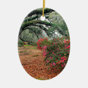 Trees Azaleas Oaks Magnolia Charleston Ceramic Ornament