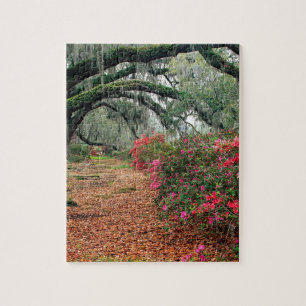 Trees Azaleas Oaks Magnolia Charleston Jigsaw Puzzle