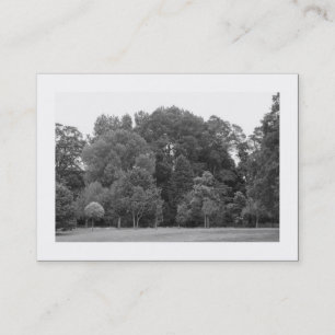 Trees, Bute Park, Cardiff Business Card