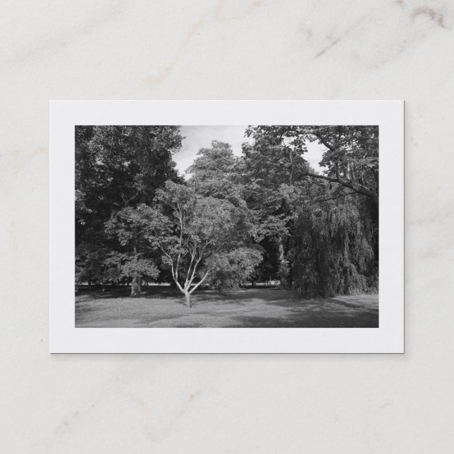 Trees, Bute Park, Cardiff BW (Bordered) Business Card (Front)