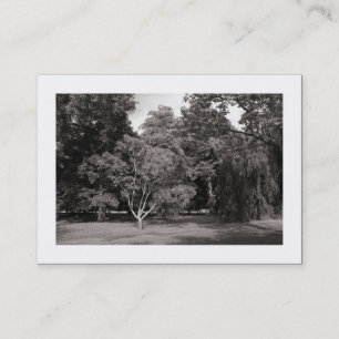 Trees, Bute Park, Cardiff - Warm BW (Bordered) Business Card