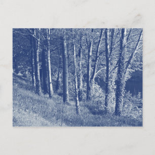 Trees by a River - Cyanotype Effect Postcard