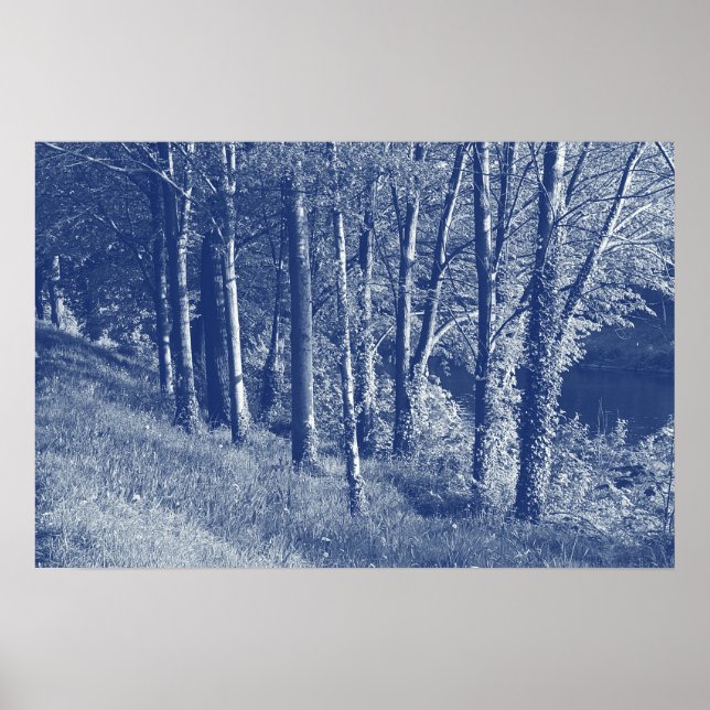 Trees by a River - Cyanotype Effect Poster (Front)