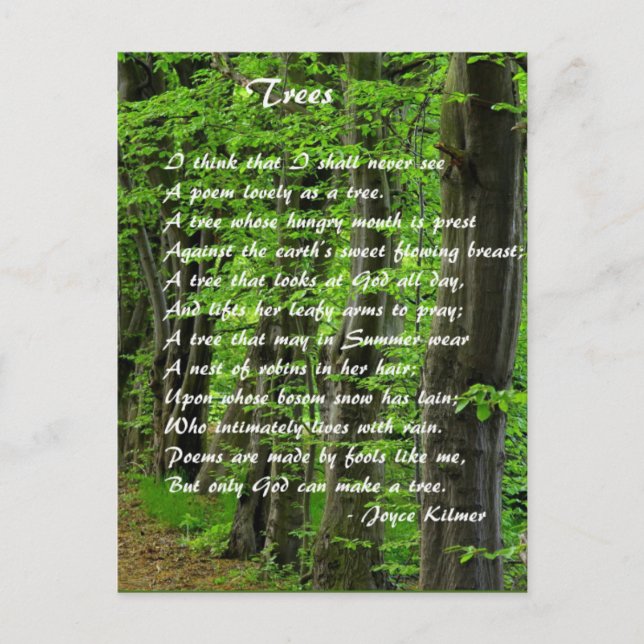 Trees by: Joyce Klimer Postcard (Front)