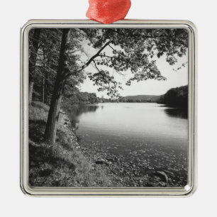 Trees by river B&W Metal Ornament