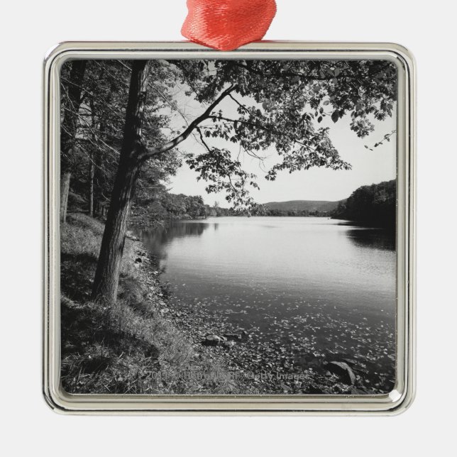 Trees by river B&W Metal Ornament (Front)