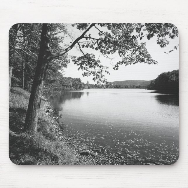 Trees by river B&W Mouse Pad (Front)