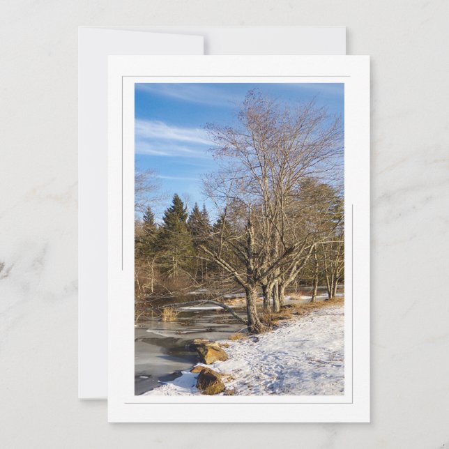 Trees by the lake - 5x7 Flat Holiday Card (Front)