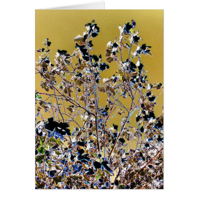 TREES Card (Front)