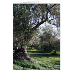 Trees Card