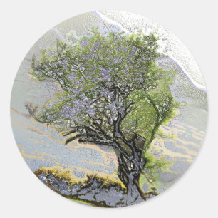 TREES CLASSIC ROUND STICKER
