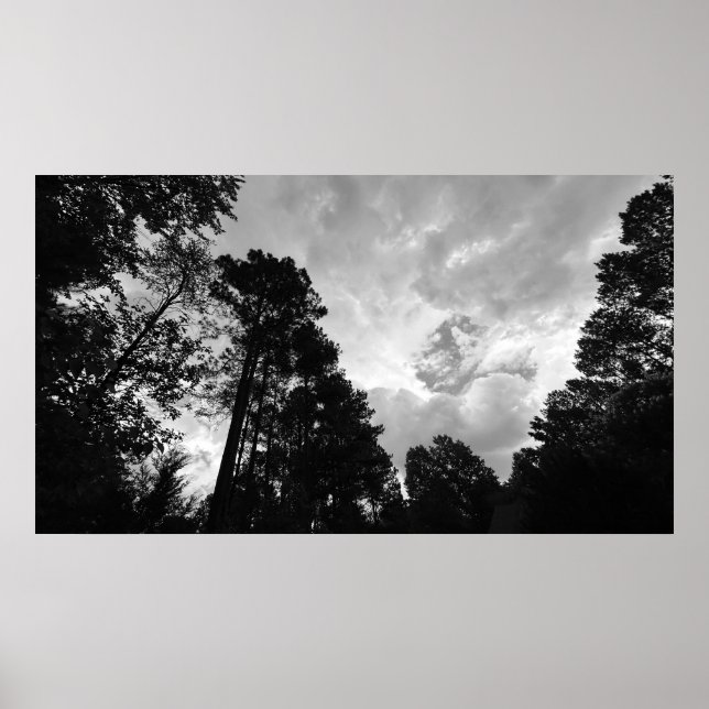 Trees & Clouds,  Poster (Front)