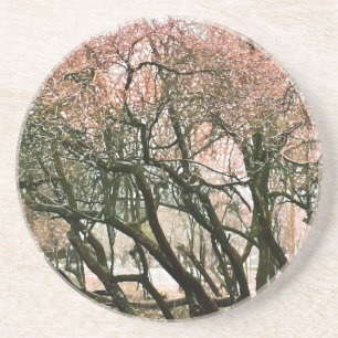 TREES COASTER