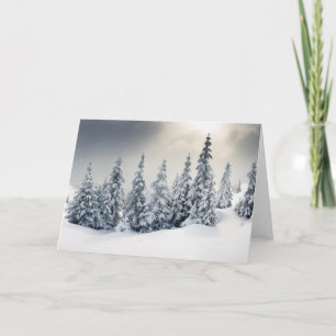 Trees Covered With Hoarfrost And Snow Holiday Card