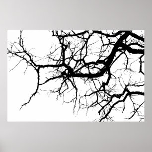 Tree's dark branches poster