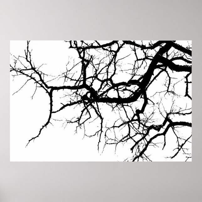 Tree's dark branches poster (Front)