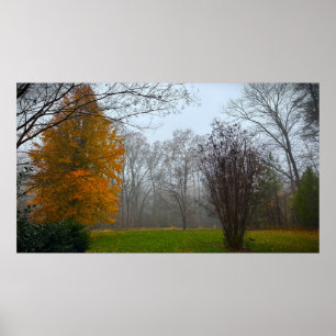 Trees & Fog, Poster