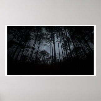 Trees & Fog,  Poster