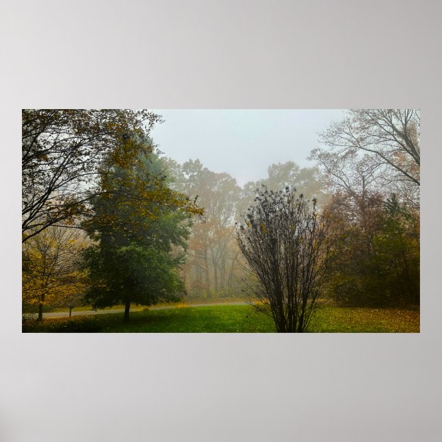 Trees & Fog,  Poster (Front)