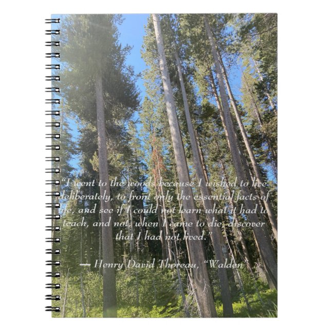 Trees Forest Woods Thoreau  Notebook (Front)