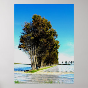 Trees in a Jersey Landscape Poster
