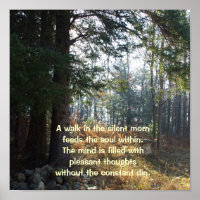 Trees in an Early Autumn Morning-Healing Poem