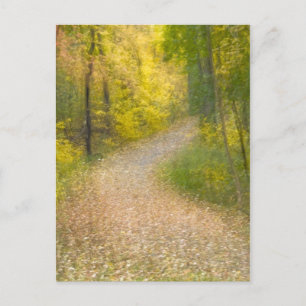 Trees in Autumn Colors and Leaf-Covered Pathway Postcard