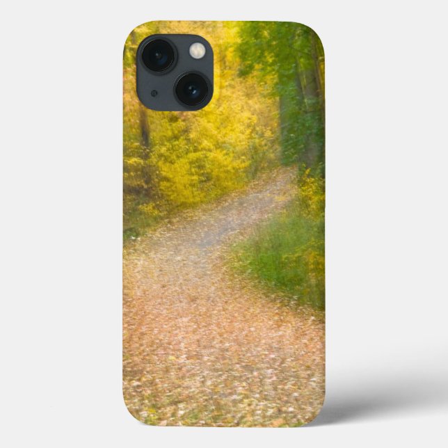 Trees in Autumn Colours and Leaf-Covered Pathway Case-Mate iPhone Case (Back)