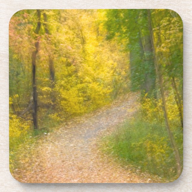 Trees in Autumn Colours and Leaf-Covered Pathway Coaster (Front)