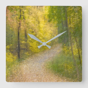 Trees in Autumn Colours and Leaf-Covered Pathway Square Wall Clock
