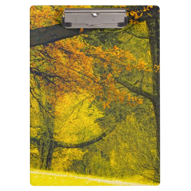 Trees in autumn colours clipboard (Front)