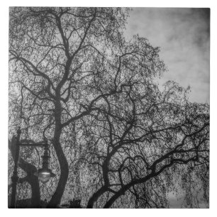 Trees in black and white ceramic photo tile