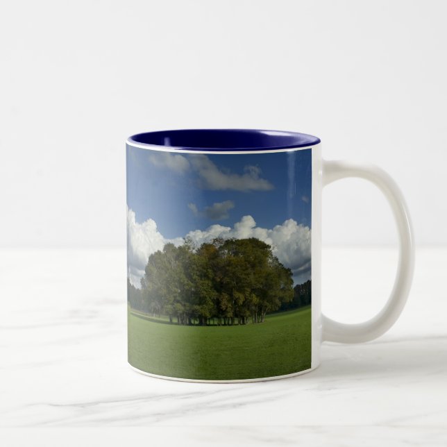 Trees in Grass Field Mug (Right)