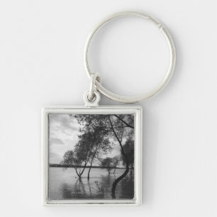 Trees in lake keychain