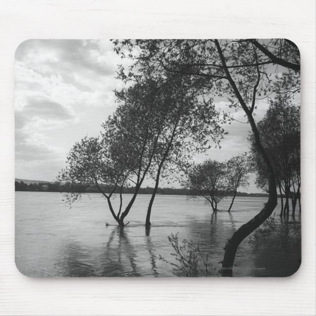 Trees in lake mouse pad (Front)