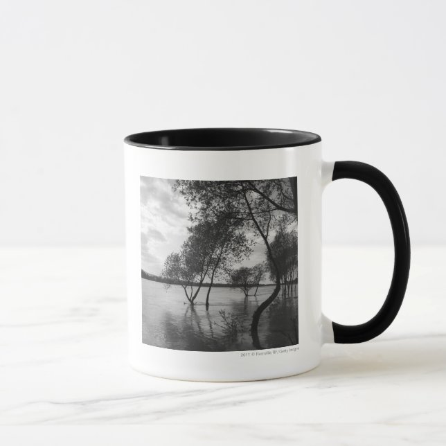 Trees in lake mug (Right)