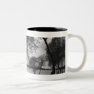 Trees in lake Two-Tone coffee mug