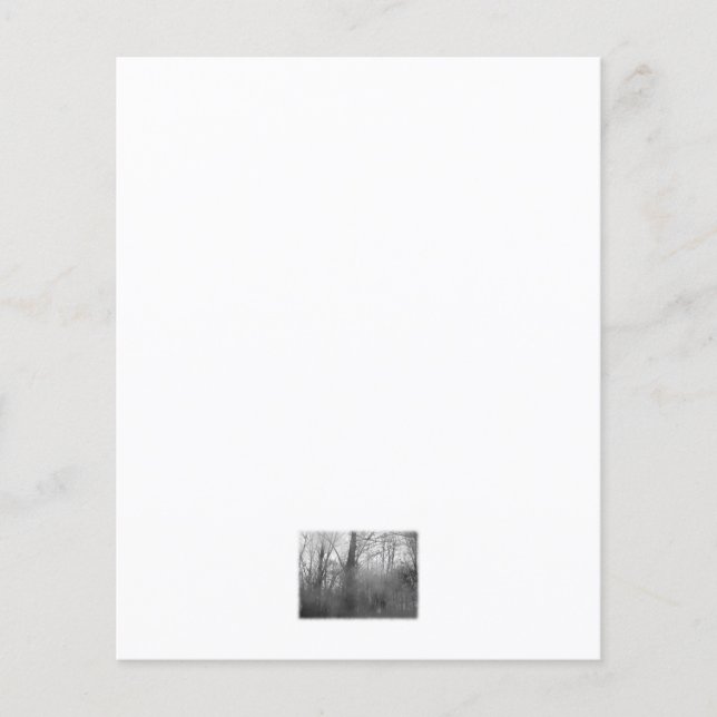 Trees in Mist. Black and White. (Front)