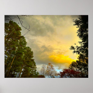 Trees in November, Poster