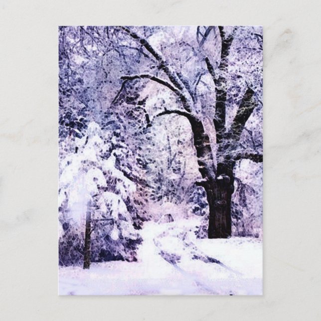 Trees in Snow Postcard (Front)