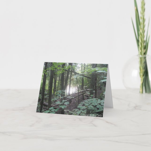 Trees in the Forest - nature greeting card (Front)