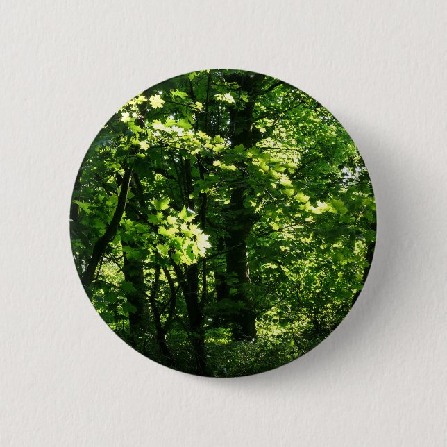 Trees in the Spring. Bute Park, Cardiff. Wales 2 Inch Round Button (Front)