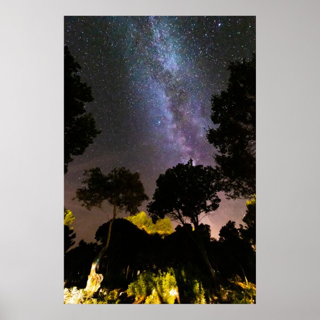 Trees landscape with milky way poster (Front)