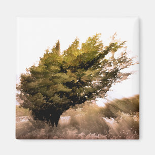 TREES MAGNET