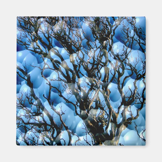 TREES MAGNET (Front)